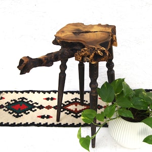 Großer Holzblumentopf: Akazienwurzel, Live Edge Holzblumentopfständer; Baumstumpf Bonsai Ständer; Blumentopflappen