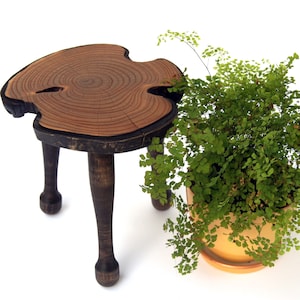 Wooden planter stand w unusual legs, Live edge wood slab Bonsai display stand Tree stump plant pot base Plant holder Flower pot stand indoor
