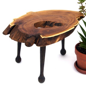 Großer Blumentopfständer aus Holz, Live Edge Holz Bonsaiständer Ungewöhnlicher Blumentopfständer Baumstumpfständer Holztopfhalter