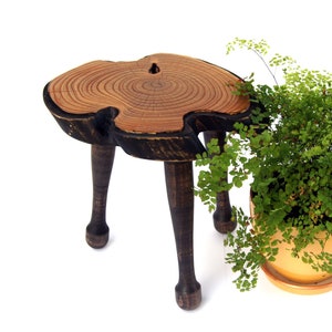 Blumentopfständer aus Holz mit ungewöhnlichen Beinen, Live Edge Holzplatte Bonsaiständer Baumstumpf Pflanzentopfbasis Pflanzenhalter Blumentopfständer Innen