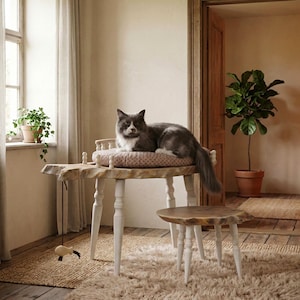Puede incluir: Un gato gris y blanco descansa sobre un cojín redondo con estampado encima de una mesa de madera con patas blancas. Una mesa de madera más pequeña y a juego con patas blancas se encuentra cerca. Un juguete cuelga del borde de la mesa grande.