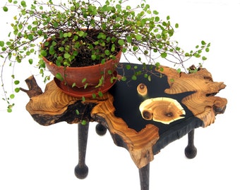 Unusual wooden planter stand indoor Bonsai display stand Live edge wood slab plant stand Tree stump plant stand Fern base Wood plant holder