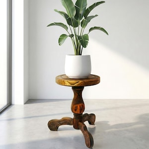 May include: A dark brown wooden pedestal table with a round top and three carved legs, supporting a white ceramic pot containing a green bird of paradise plant with large, broad, oval-shaped leaves reaching upward toward the light.