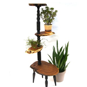 Tall 4-tier wooden plant stand indoor Live edge wood slab planter stand Display stand for plant pots Tree stump fern base, Flower pot holder