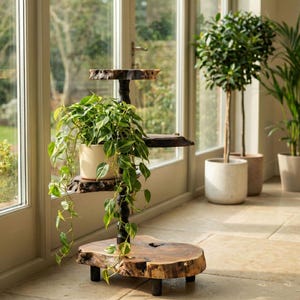 Tall 4-Tier Live Edge Plant Stand Indoor; Wild Olive Planter Display; Wooden Pot Holder; Rustic Vertical Garden; Hand-carved Wood Home Decor