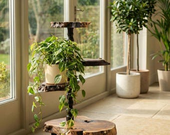 Tall 4-Tier Live Edge Plant Stand Indoor; Wild Olive Planter Display; Wooden Pot Holder; Rustic Vertical Garden; Hand-carved Wood Home Decor