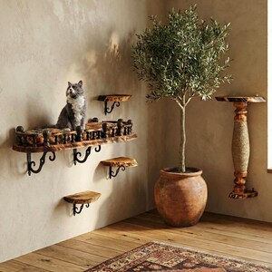 Cama grande de pared para gatos de madera de olivo silvestre, escalones y rascador de sisal; juego para Maine Coon; regalo premium para dueños de mascotas