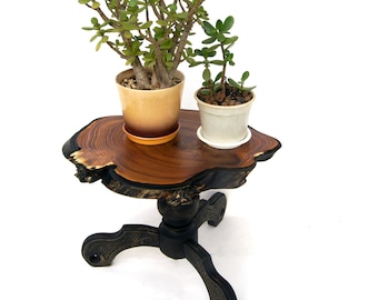 Holz-Pflanzgefäßständer für großen Pflanztopf, Bonsai-Präsentationsständer, Sockel-Blumentopfständer für den Innenbereich, Holz-Pflanzgefäßständer, Live-Edge-Holzplattensockel
