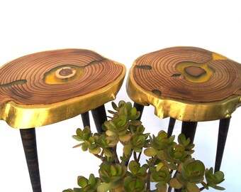 Set 2 small live edge wood slab coffee tables Pair of wooden side tables Personalized custom epoxy resin end table Tree stump bedside table