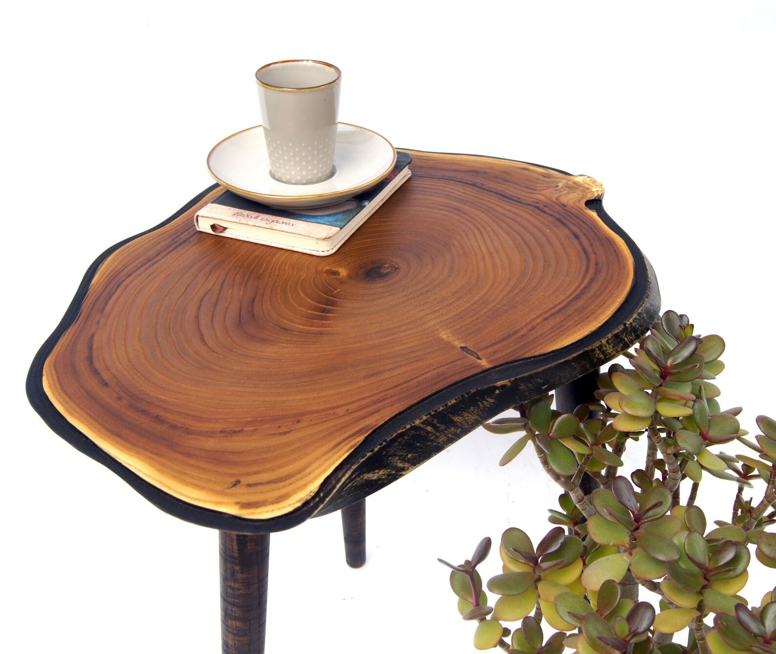 Small Live Edge Wood Slab Side Table Wild Olive Wood Coffee Etsy