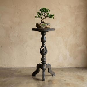 May include: A dark brown, carved wooden plant stand with a small bonsai tree. The stand has a round top, a decorative carved center, and three curved legs. The bonsai tree is in a stone pot.