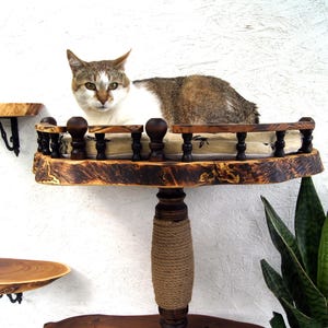 Op de afbeelding: Een kattenmeubel met meerdere niveaus, voorzien van een centrale paal omwikkeld met beige sisaltouw, die een rond platform met een donkerhouten reling en een beige kussen ondersteunt. Een kat rust op het platform, met twee wandplanken.