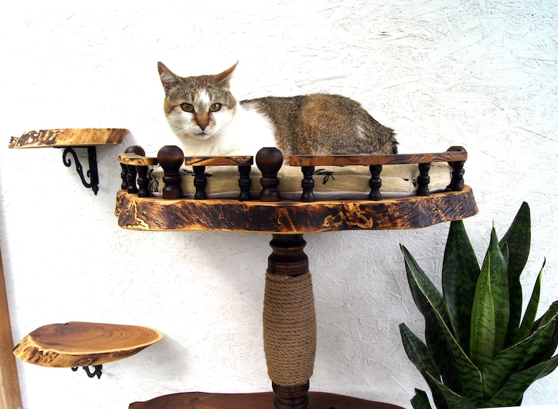 Op de afbeelding: Een kattenmeubel met meerdere niveaus, voorzien van een centrale paal omwikkeld met beige sisaltouw, die een rond platform met een donkerhouten reling en een beige kussen ondersteunt. Een kat rust op het platform, met twee wandplanken.