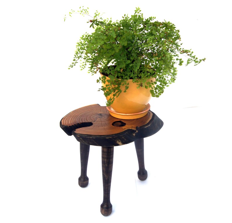 Live Edge Wood Bonsai Stand Wood Planter Stand Bonsai Display Etsy
