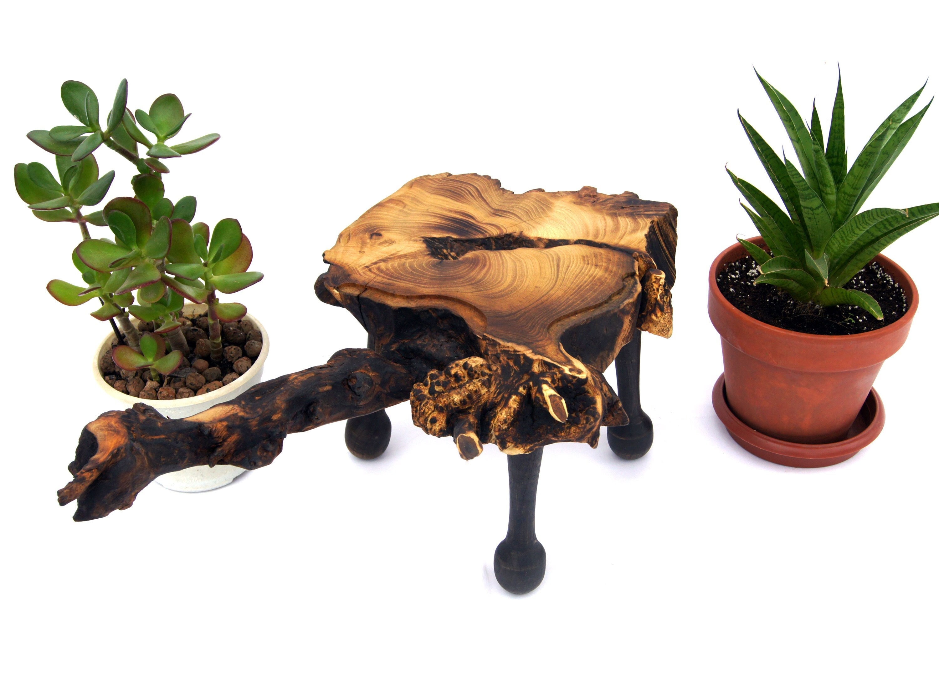 wanderout YOSHITA DESIGN ナベシキPot Stand Y Amazon.com : Plant Stand Outdoor - Flower Stand Indoor