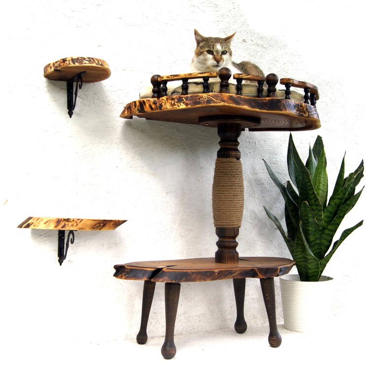 Op de afbeelding: Een kattenmeubelset met meerdere niveaus, bestaande uit twee wandplanken van natuurhout met zwarte metalen beugels en een staand meubel met een centrale sisalpaal, een verhoogd platform met een houten reling en een houten basis.