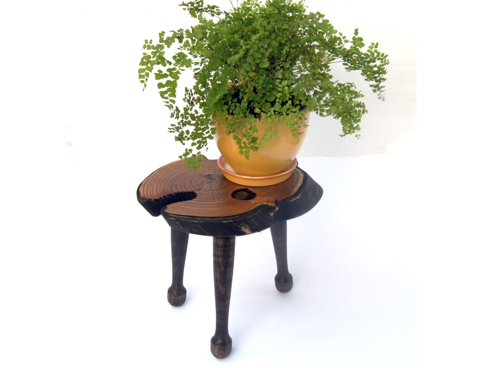 Live Edge Wood Bonsai Stand Wood Planter Stand Bonsai Display Etsy