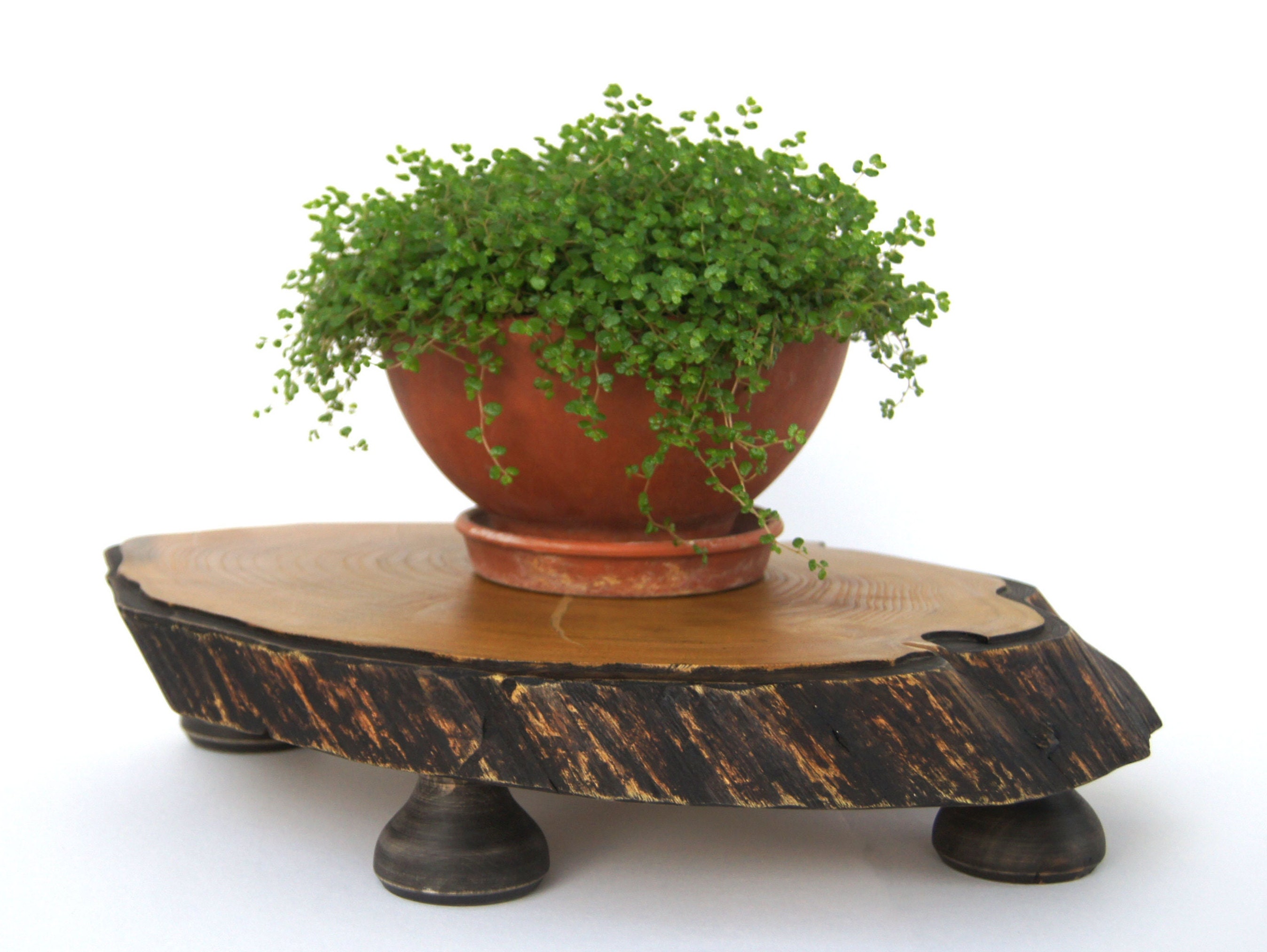 Bonsai Display Stand Live Edge Wood Crystal Figurine Stand Etsy