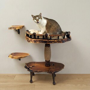 Houten kattentoren met sisalkrabber, opstaptreden en wasbaar kussen; Natuurlijke houten kattenmand Live Edge met kussen; Rustiek meubilair voor huisdieren afbeelding 6