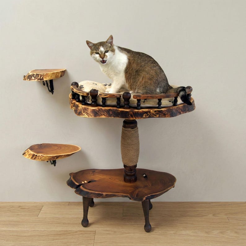 Houten kattentoren met sisalkrabber, opstaptreden en wasbaar kussen; Natuurlijke houten kattenmand Live Edge met kussen; Rustiek meubilair voor huisdieren afbeelding 6