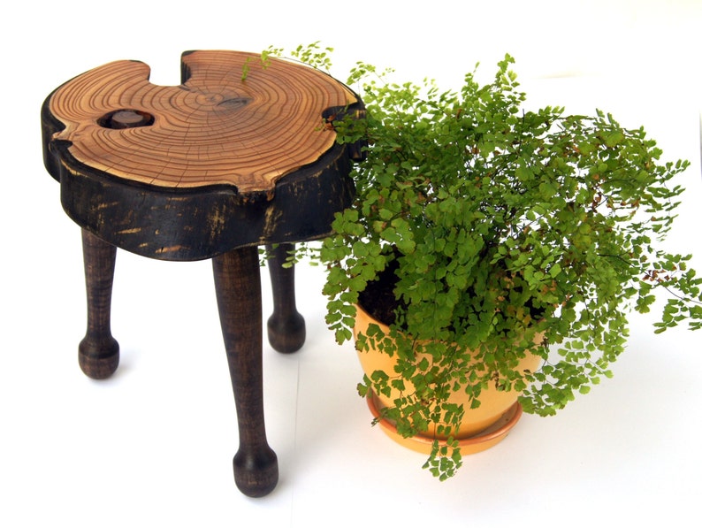 Live Edge Wood Bonsai Stand Wood Planter Stand Bonsai Display Etsy