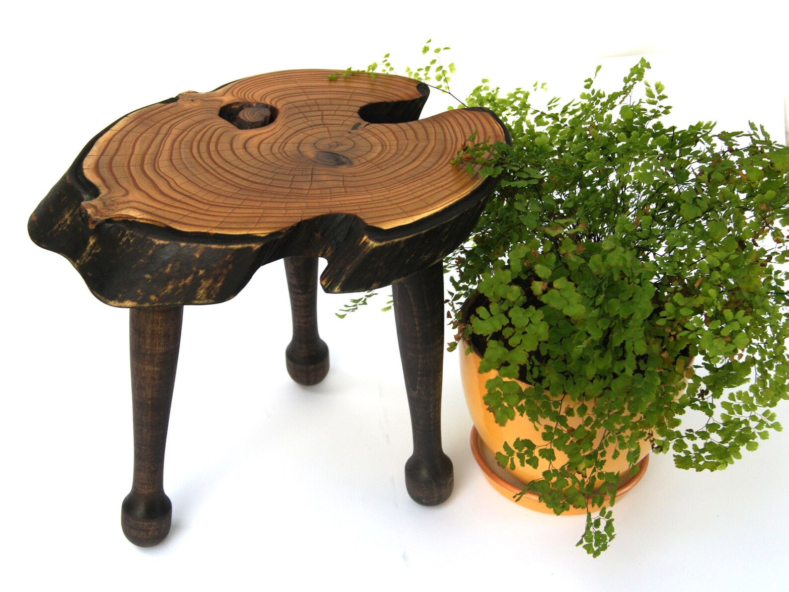 Live Edge Wood Bonsai Stand Wood Planter Stand Bonsai Display Etsy