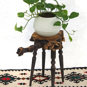 Großer Holzblumentopf: Akazienwurzel, Live Edge Holzblumentopfständer; Baumstumpf Bonsai Ständer; Blumentopflappen