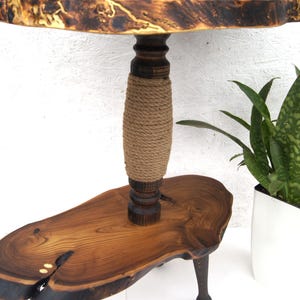 Close up detail of unique live edge grain on the wild olive wood cat perch. Shows the sturdy natural sisal rope scratching post and hand-turned wooden elements of the heavy-duty cat tree.
