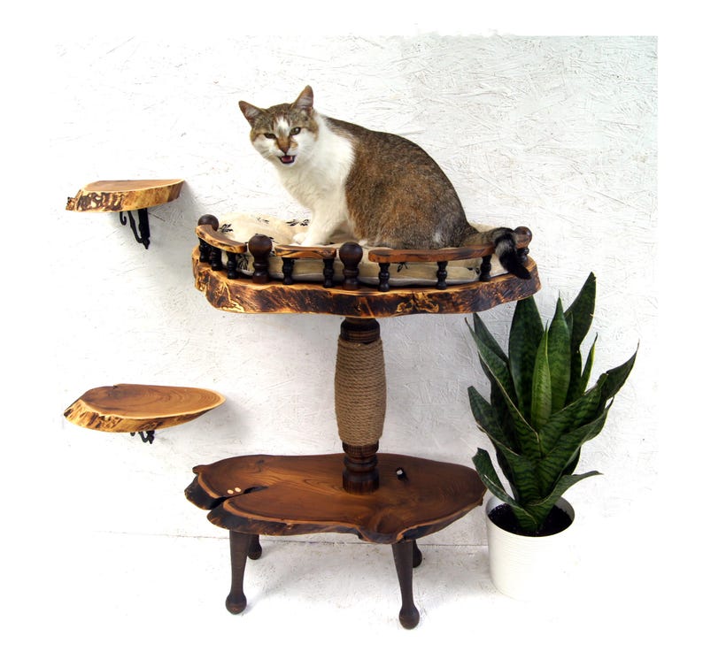 Op de afbeelding: Een kattenmeubel met meerdere niveaus gemaakt van natuurlijke houten platen met boomkanten. Het heeft een centrale paal omwikkeld met sisaltouw, een verhoogd platform met een decoratieve spijlenreling en een kussen, en twee losse wandplanken.