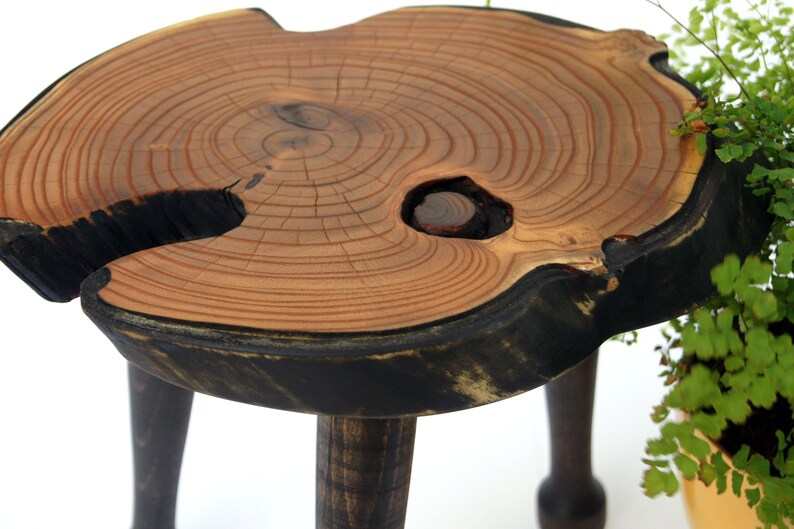 Live Edge Wood Bonsai Stand Wood Planter Stand Bonsai Display Etsy