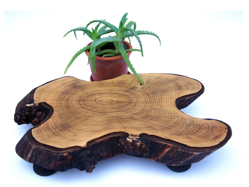 Bonsai Display Stand Live Edge Wood Bonsai Stand Tree Stump Etsy