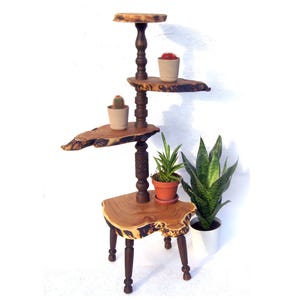 Großer 4-Tier-Holzblumenständer für Innenräume Live Edge Holzplatte Pflanzenständer Geschnitzter Ausstellungsständer für Töpfe Baumstumpffarnbasis Blumentopfhalter