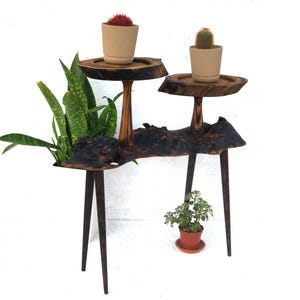 Ungewöhnlicher 2-stufiger Blumentopf für Blumentopf Live Edge Holzplatte Pflanzenständer Baumstumpf Farn Basis Blumentopfhalter
