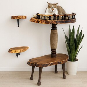 Op de afbeelding: Een kattenmeubelset bestaande uit een houten standaard met meerdere niveaus, een met sisal omwikkelde paal, een bovenplatform met een decoratieve reling en twee losse wandplanken van hout. Een bruin-witte kat rust op het bovenste platform.