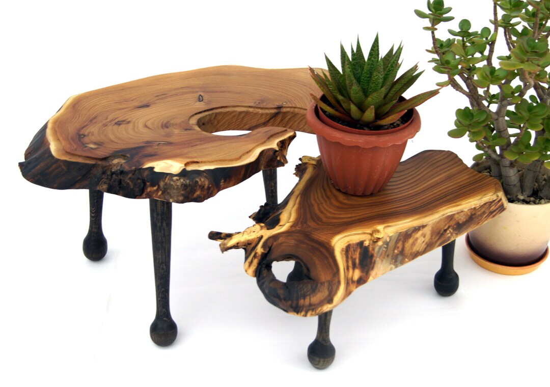 Set of 2 Large Bonsai Display Stands Live Edge Wood Plant Stands Pair