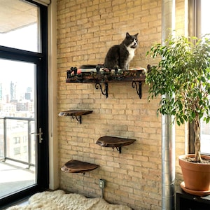 Cama grande de pared para gatos con escalones; muebles de madera maciza para Maine Coon; estante flotante para dormir con cojín; percha resistente para gatos; decoración rústica para mascotas