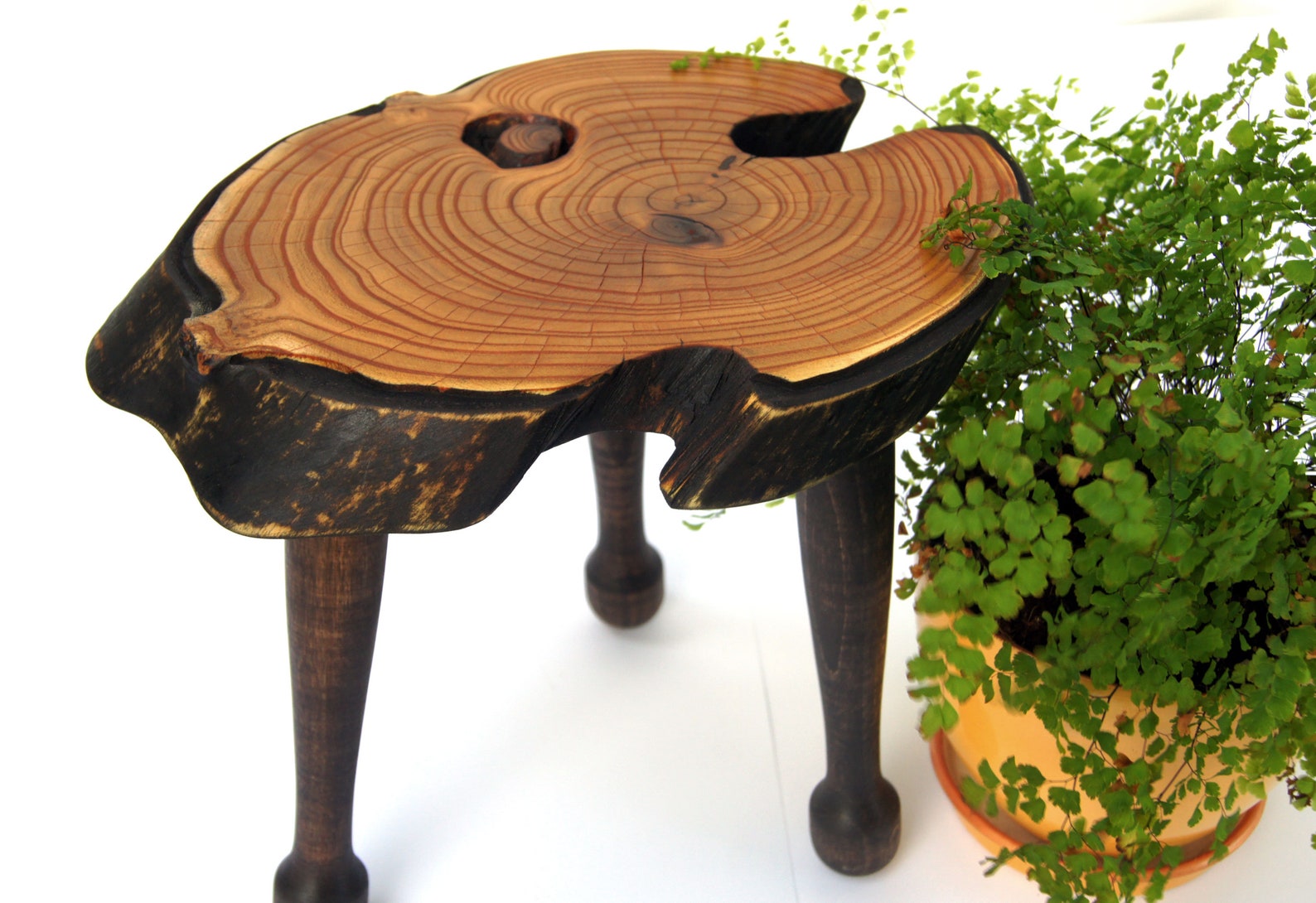 Live Edge Wood Bonsai Stand Wood Planter Stand Bonsai Display Etsy