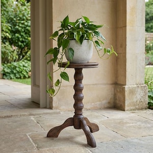 Peut inclure: Un support de plante en bois brun foncé avec un dessus rond et une base sculptée. Un pot gris clair texturé rempli de plantes vertes feuillues est posé dessus. Les vignes de la plante tombent sur les côtés du support.