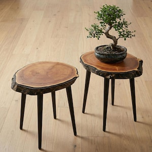 May include: Two small, wooden side tables with dark brown legs and natural wood grain tops. One table holds a bonsai tree in a dark ceramic pot. The tables have a rustic, organic aesthetic, perfect for a living room or patio.