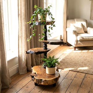 Tall Live Edge Wood Plant Stand Indoor, 35";  4-Tier Rustic Wild Olive Flower Pot Holder; Indoor Garden Furniture; Tiered Planter Display