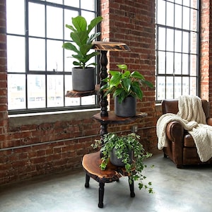 Peut inclure: Un présentoir à plantes en bois à trois niveaux, avec une finition sombre, contenant des plantes en pot. Le présentoir a un design rustique. Les plantes ont un feuillage vert et sont dans des pots gris. Le présentoir est devant un mur de briques.