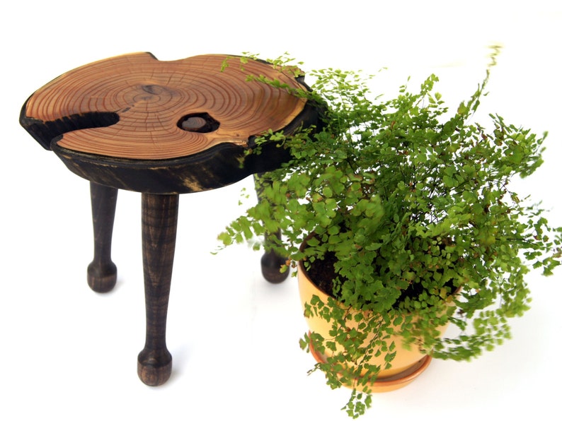 Live Edge Wood Bonsai Stand Wood Planter Stand Bonsai Display Etsy