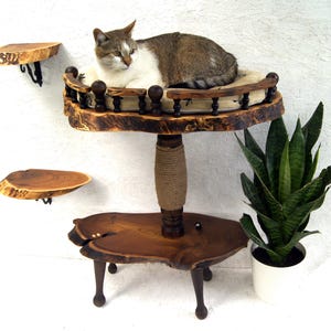 Complete set of handmade eco-friendly cat furniture including a floor-standing wood scratching tower with bed and optional wall-mounted wooden steps. Rustic boho style pet decor.