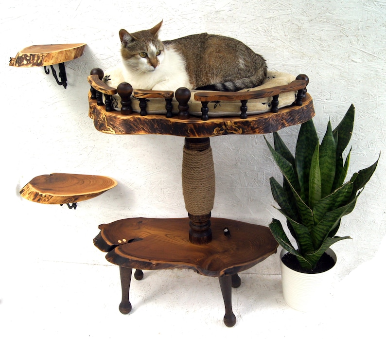 Complete set of handmade eco-friendly cat furniture including a floor-standing wood scratching tower with bed and optional wall-mounted wooden steps. Rustic boho style pet decor.