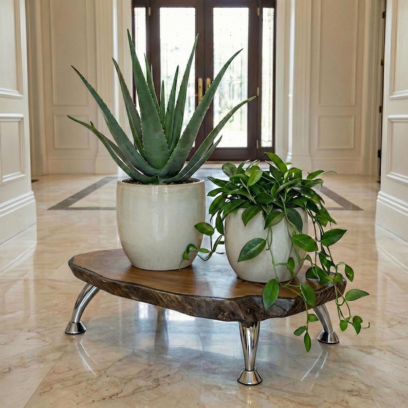 Large Live Edge Acacia Plant Stand; Low Floor Planter Riser Chrome Legs ...