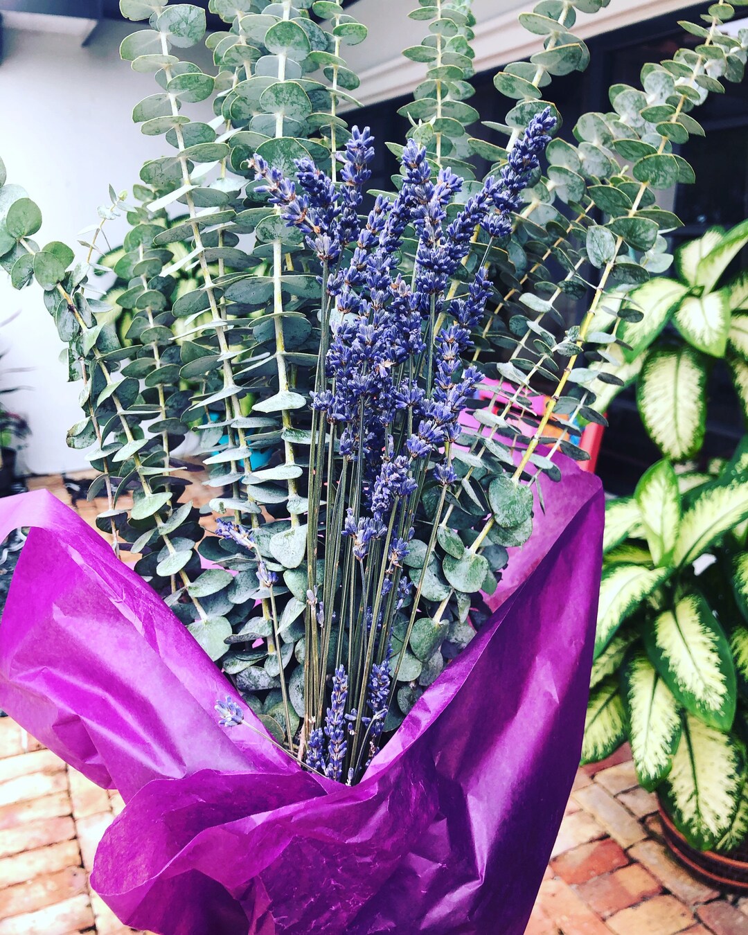 Eucalyptus Spa Shower Bundle Natural Bath Product Wall Art Shower