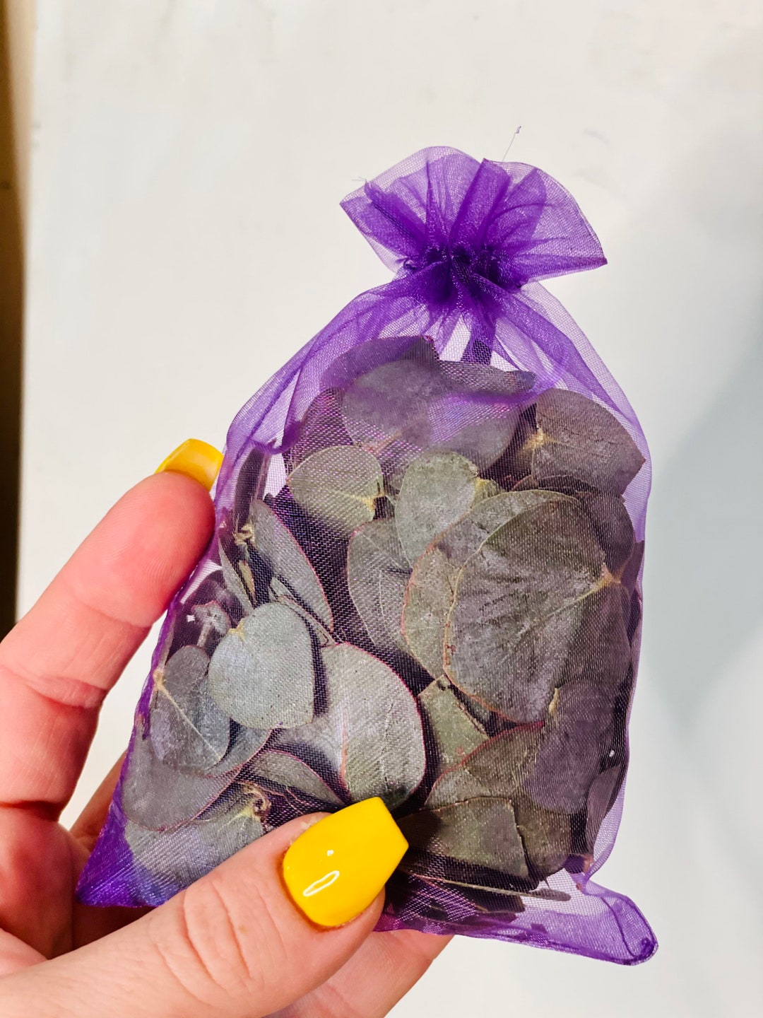 Eucalyptus Shower Pouches Eucalyptus Lavender Shower Steamers Hanging