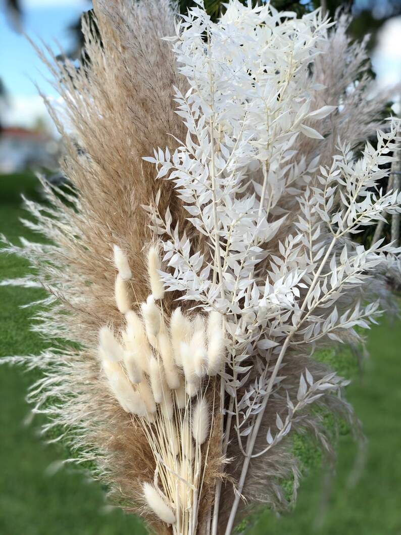 Pampas Grass Bunny Tails & Italian White Ruscus Bundle Home Etsy