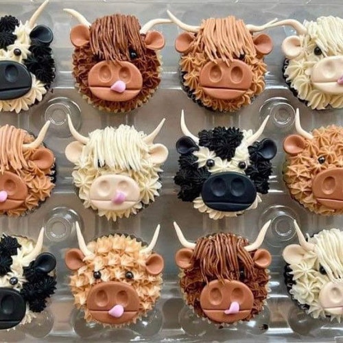 Edible Highland Cow Cupcake Toppers One Dozen Fondant Etsy