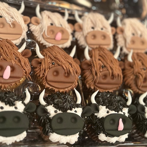 Highland Cow Cake Topper – Geburtstagskuchen-Deko Mit Glitzerndem Happy Birthday-Schild, Rustikales Design